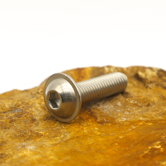 Customized Stainless Steel Hex Socket Screws Allen Screw