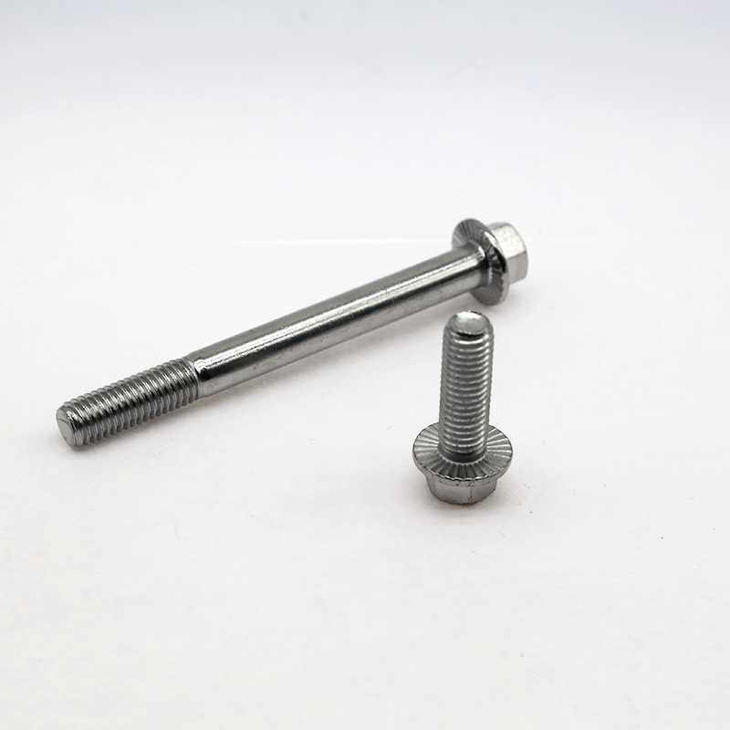 Flange Face Screws (2)