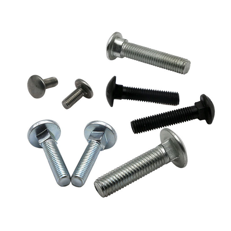 Carriage Bolts (1)