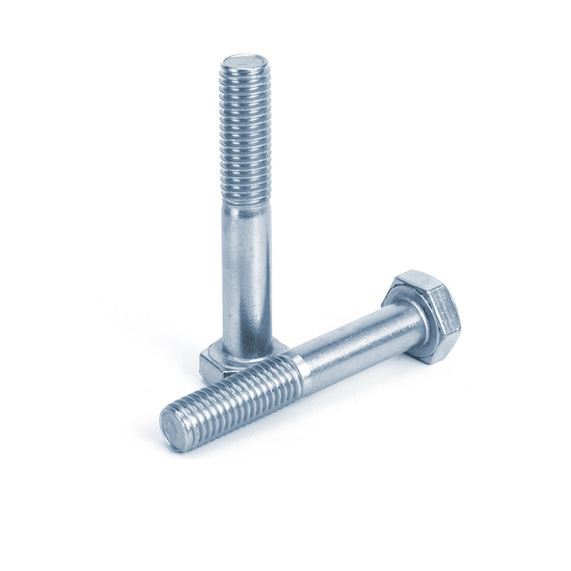 Hexagon Head Bolt (3)