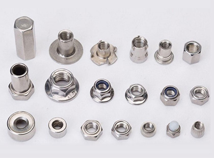 Stainless Steel Non-Standard Nut
