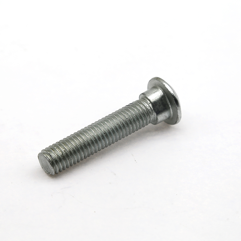 Carriage Bolts (2)