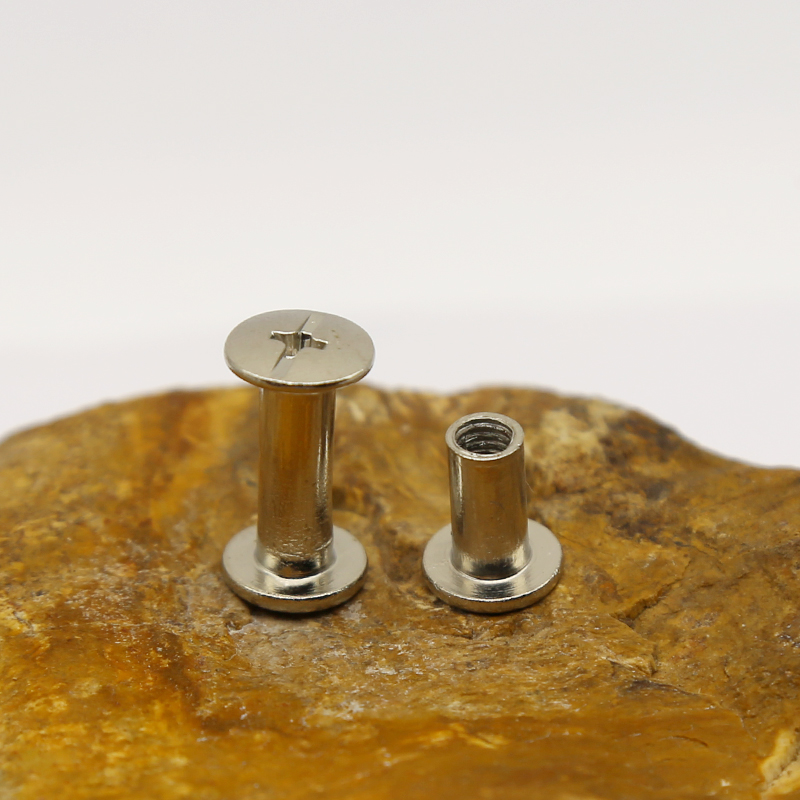 Stainless Steel Chicago Screw (3)
