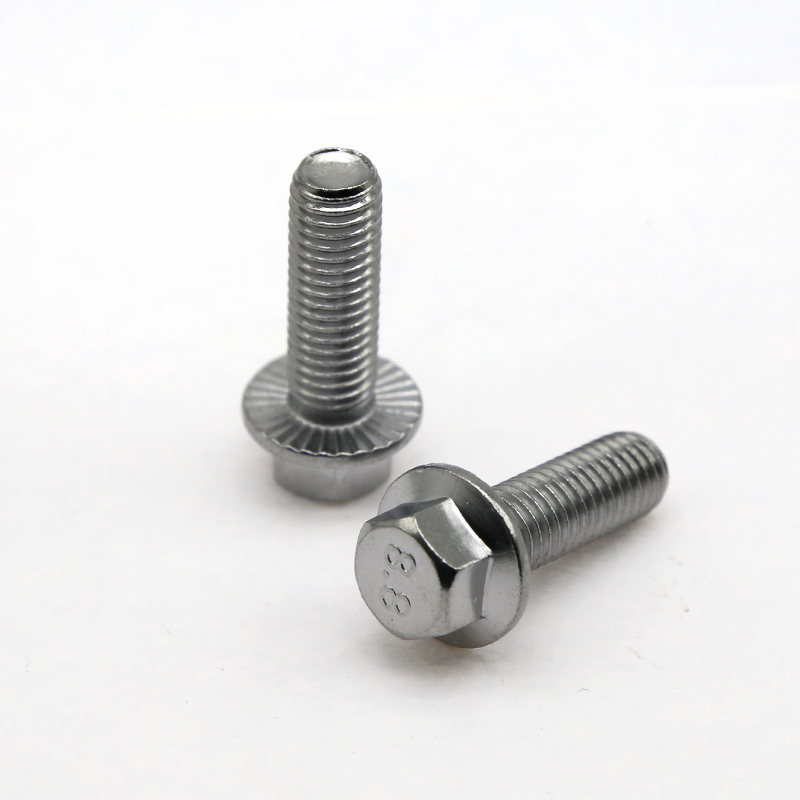 Flange Face Screws (4)