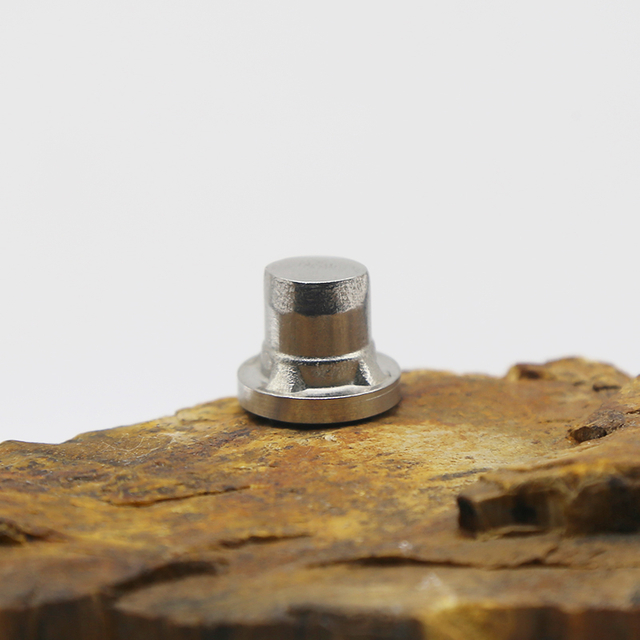Stainless Steel Semi-Tubular Rivets