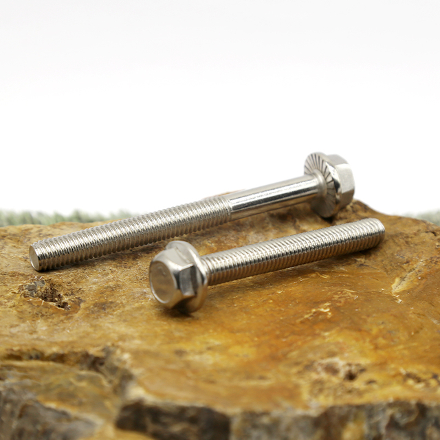 Customization of Stainless Steel Flange Face Screws