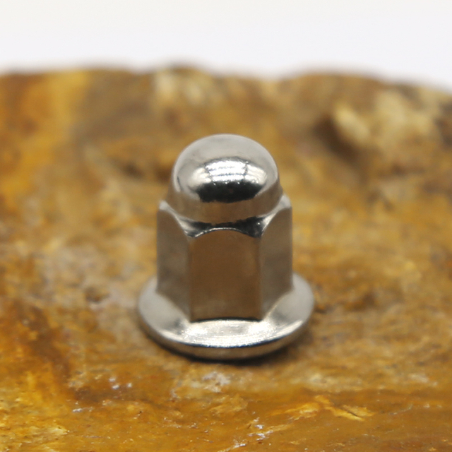 Stainless Steel Nut