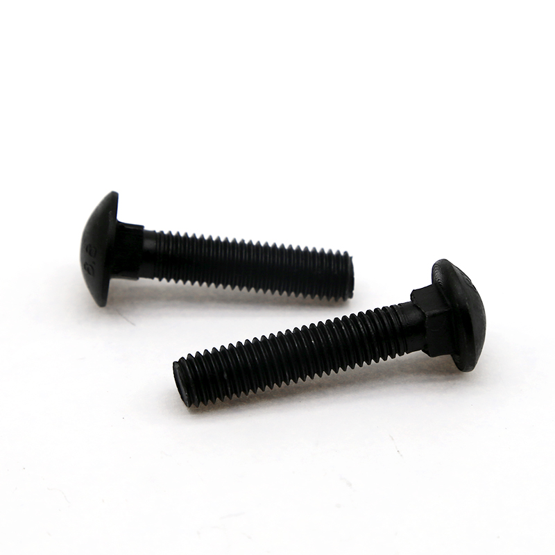 Carriage Bolts (4)