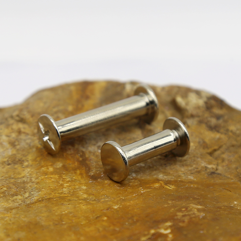 Stainless Steel Chicago Screw (4)