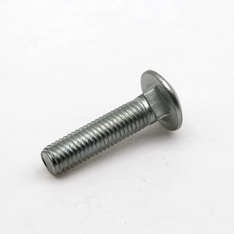 Carriage Bolts (3)
