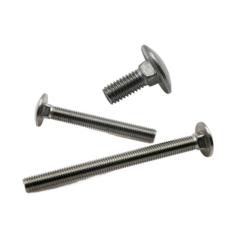 Customization of Stainless Steel Carriage Bolts (1)