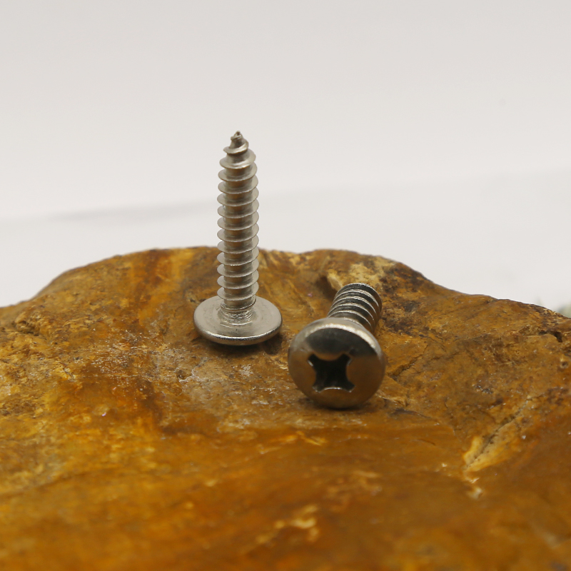 Stainless Steel Self-Tapping Screw (2)