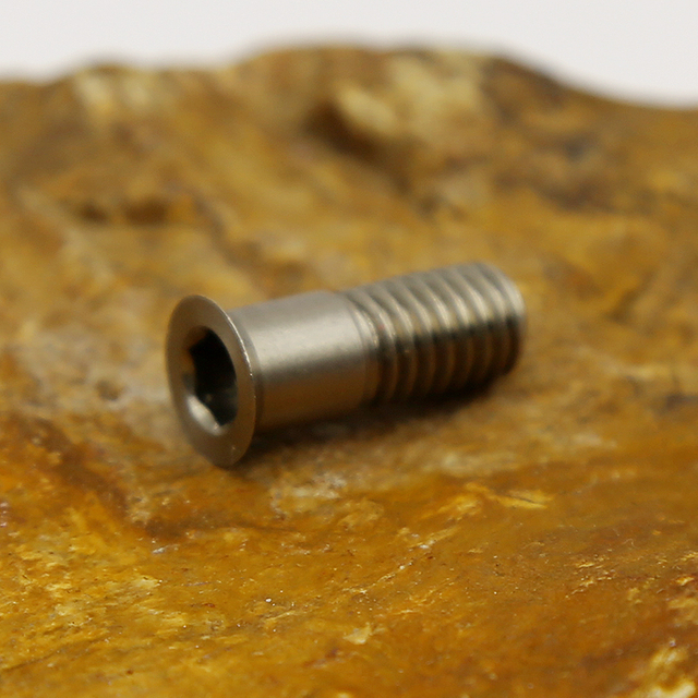 Custom Stainless Steel Screws Manufacturing