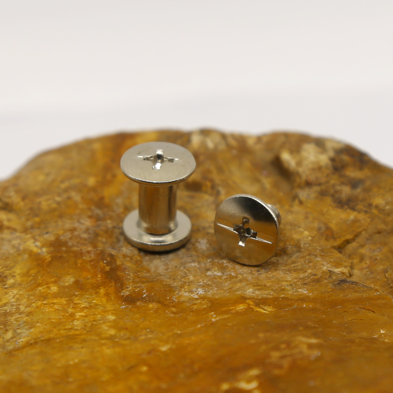 Stainless Steel Chicago Screw (2)