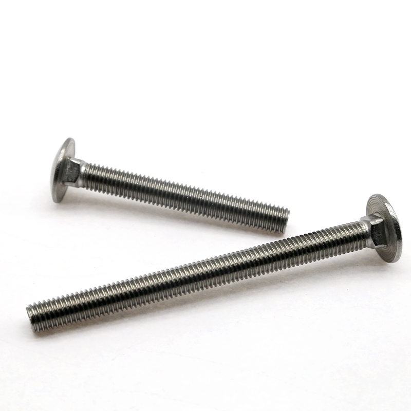 Customization of Stainless Steel Carriage Bolts (2)