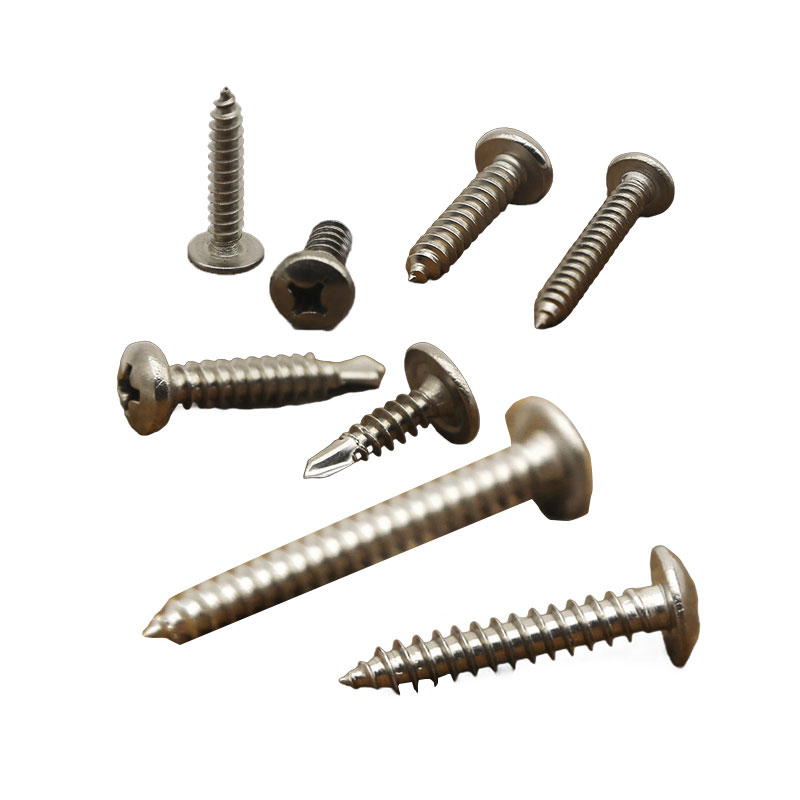Stainless Steel Self-Tapping Screw (1)