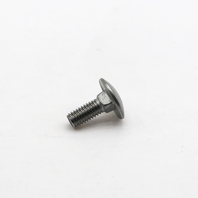 Customization of Stainless Steel Carriage Bolts
