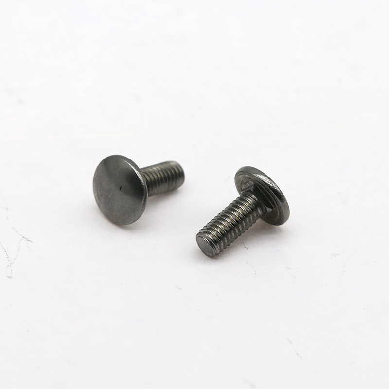 Carriage Bolts (5)