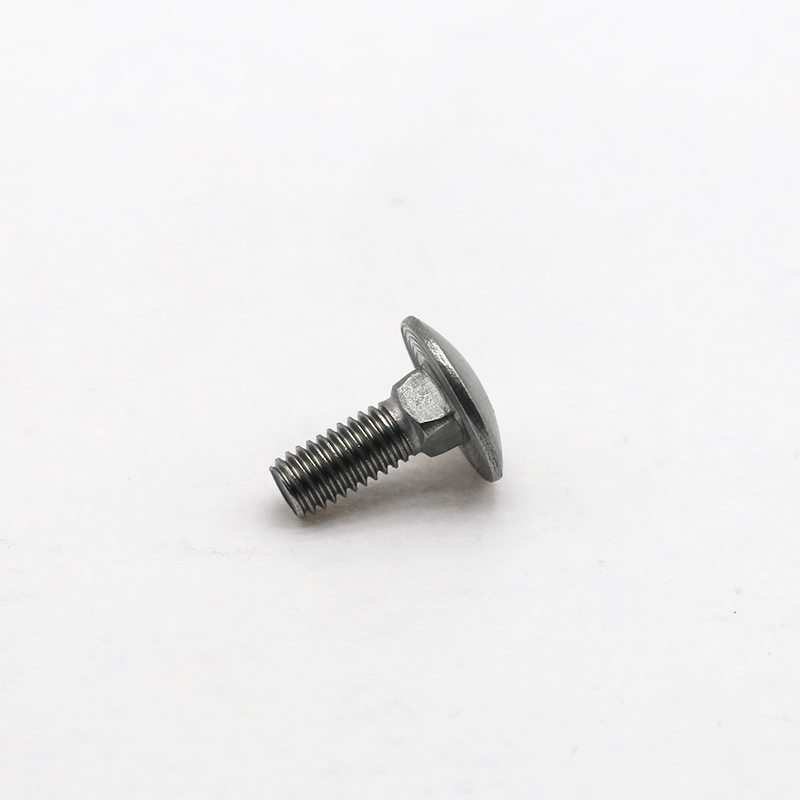 Customization of Stainless Steel Carriage Bolts (3)