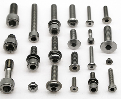 Customized Stainless Steel Hexagonal Socket Screw